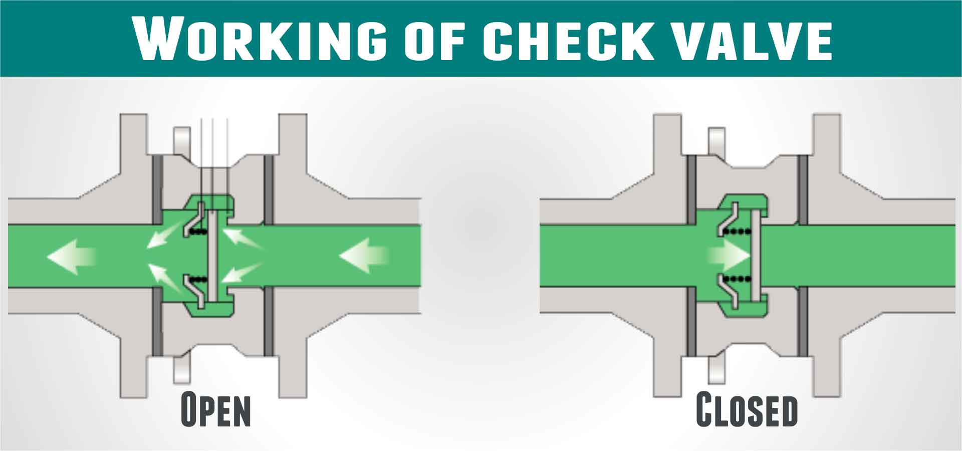 How Does A Sanitary Check Valve Work Adamant Valves